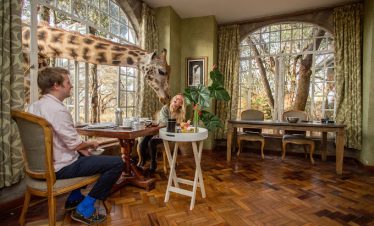 Couple feeding giraffe at the Giraffe Manor.