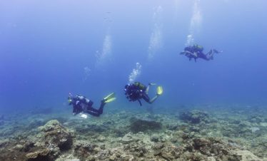 People deep diving in Watamu