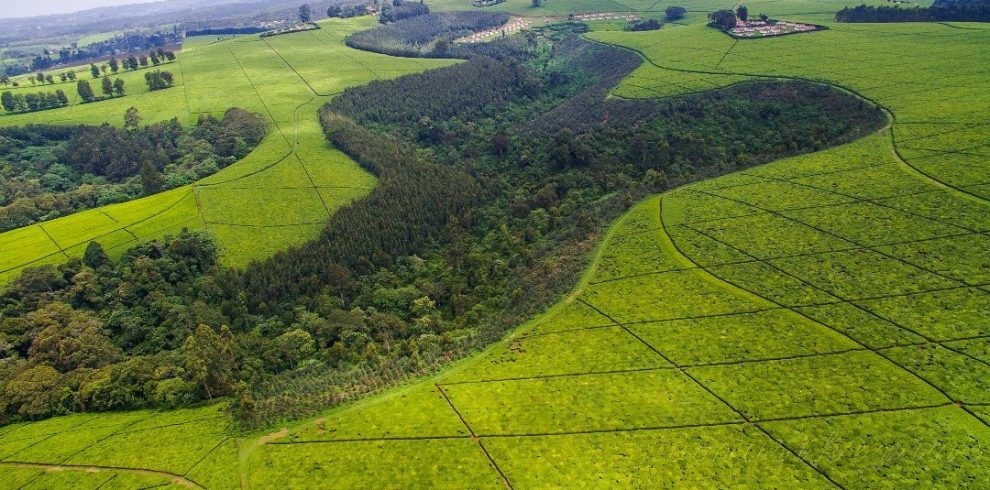 Limuru aerial view
